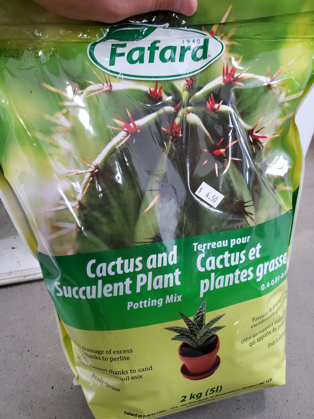 FAFARD Terreau pour cactus et plantes grasses 5 L (2 kg)